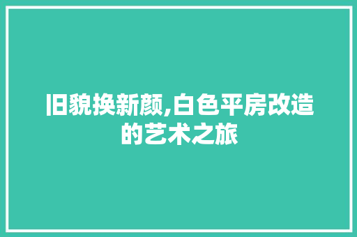 旧貌换新颜,白色平房改造的艺术之旅