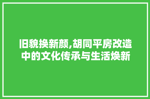 旧貌换新颜,胡同平房改造中的文化传承与生活焕新
