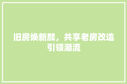 旧房焕新颜，共享老房改造引领潮流 装修材料