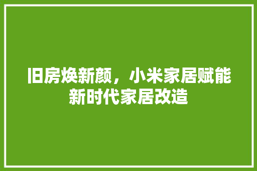 旧房焕新颜，小米家居赋能新时代家居改造