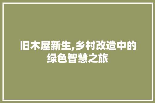 旧木屋新生,乡村改造中的绿色智慧之旅 墙面装饰