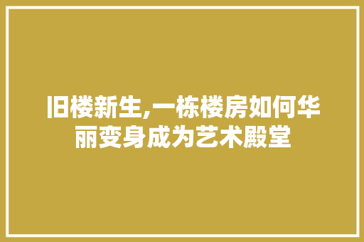 旧楼新生,一栋楼房如何华丽变身成为艺术殿堂