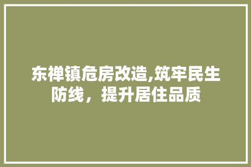 东禅镇危房改造,筑牢民生防线，提升居住品质