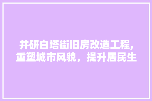 井研白塔街旧房改造工程,重塑城市风貌，提升居民生活品质 门窗装修