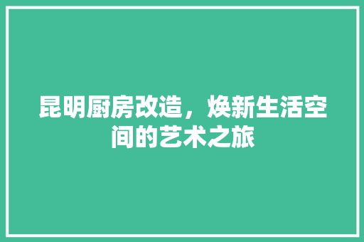 昆明厨房改造，焕新生活空间的艺术之旅