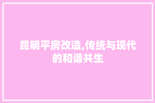 昆明平房改造,传统与现代的和谐共生