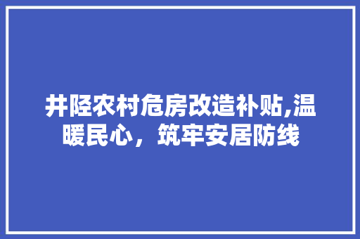 井陉农村危房改造补贴,温暖民心，筑牢安居防线