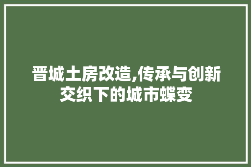 晋城土房改造,传承与创新交织下的城市蝶变