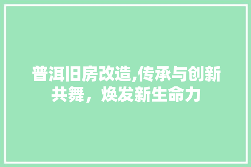 普洱旧房改造,传承与创新共舞，焕发新生命力 墙面装饰
