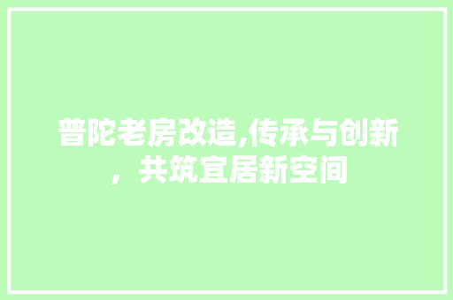 普陀老房改造,传承与创新，共筑宜居新空间