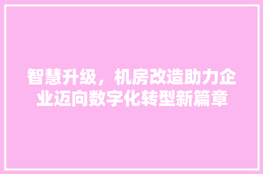 智慧升级，机房改造助力企业迈向数字化转型新篇章