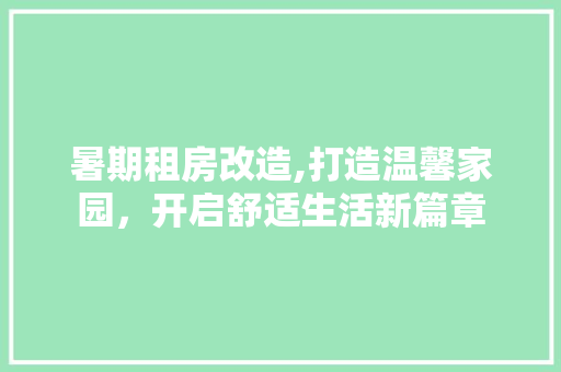 暑期租房改造,打造温馨家园，开启舒适生活新篇章