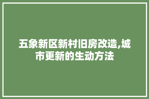 五象新区新村旧房改造,城市更新的生动方法