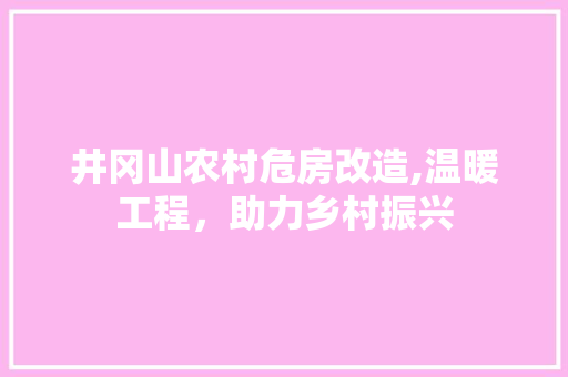 井冈山农村危房改造,温暖工程，助力乡村振兴