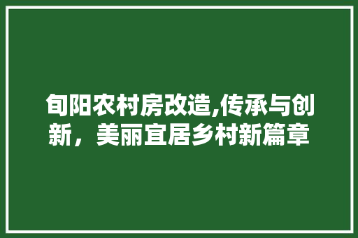 旬阳农村房改造,传承与创新，美丽宜居乡村新篇章