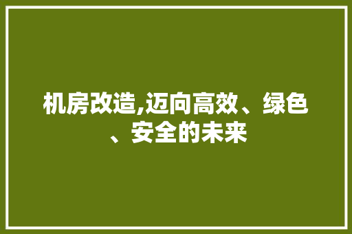 机房改造,迈向高效、绿色、安全的未来