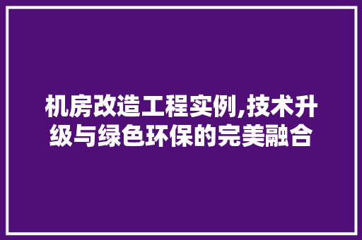 机房改造工程实例,技术升级与绿色环保的完美融合