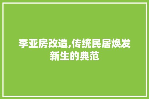 李亚房改造,传统民居焕发新生的典范