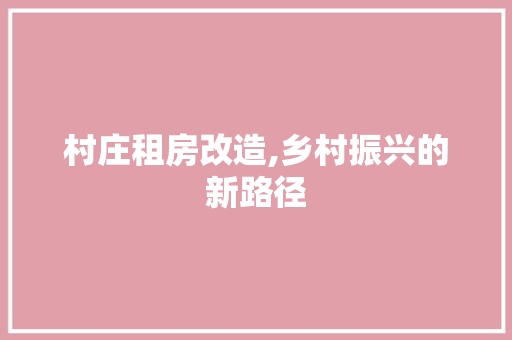 村庄租房改造,乡村振兴的新路径