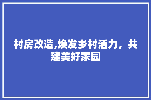 村房改造,焕发乡村活力，共建美好家园