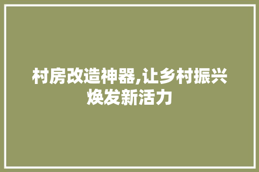村房改造神器,让乡村振兴焕发新活力