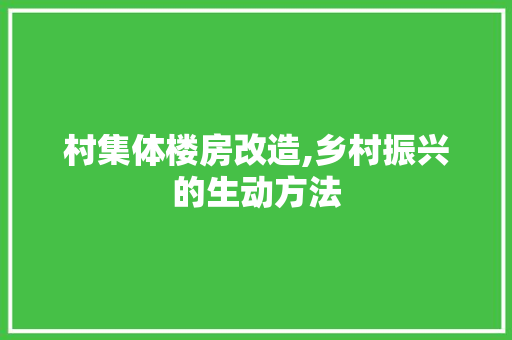 村集体楼房改造,乡村振兴的生动方法