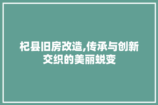杞县旧房改造,传承与创新交织的美丽蜕变 装修攻略 杞县旧房改造,传承与创新交织的美丽蜕变 装修攻略