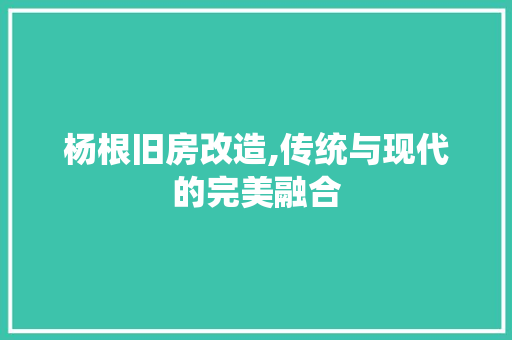 杨根旧房改造,传统与现代的完美融合