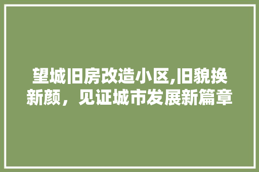 望城旧房改造小区,旧貌换新颜，见证城市发展新篇章