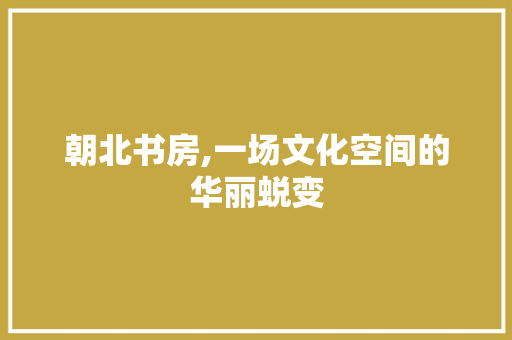 朝北书房,一场文化空间的华丽蜕变