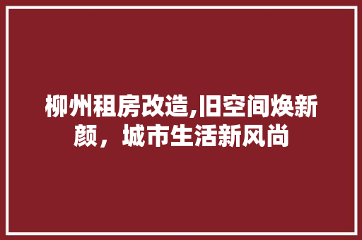柳州租房改造,旧空间焕新颜，城市生活新风尚
