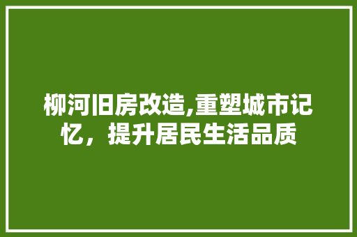 柳河旧房改造,重塑城市记忆，提升居民生活品质