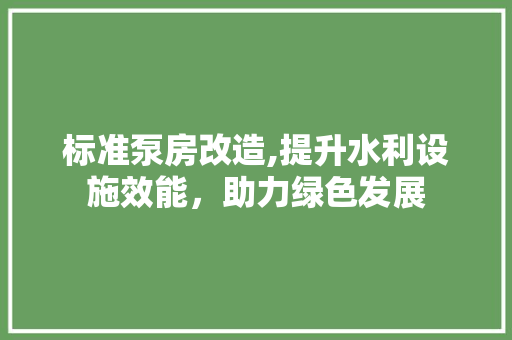 标准泵房改造,提升水利设施效能，助力绿色发展