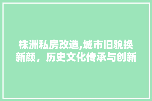株洲私房改造,城市旧貌换新颜，历史文化传承与创新并行 建筑设计