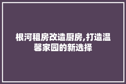 根河租房改造厨房,打造温馨家园的新选择
