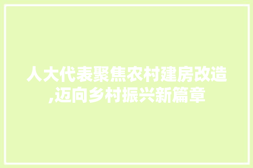 人大代表聚焦农村建房改造,迈向乡村振兴新篇章 建筑设计