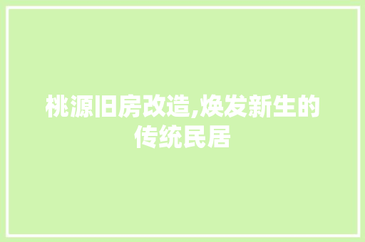 桃源旧房改造,焕发新生的传统民居