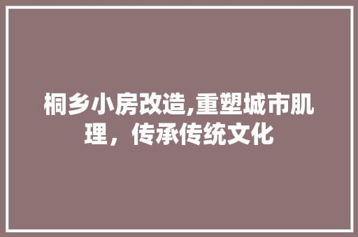 桐乡小房改造,重塑城市肌理，传承传统文化