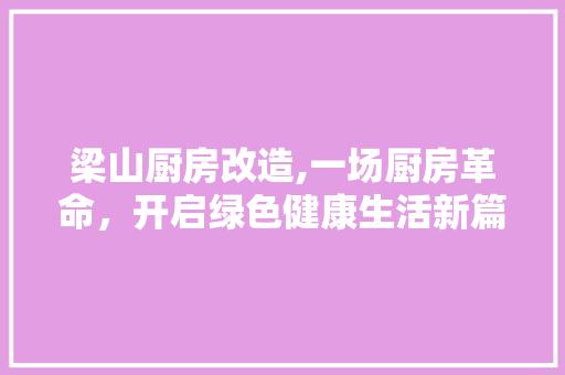 梁山厨房改造,一场厨房革命，开启绿色健康生活新篇章