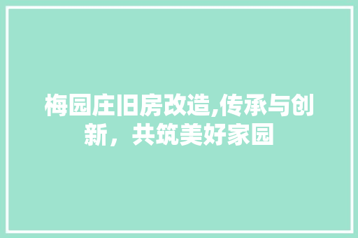 梅园庄旧房改造,传承与创新，共筑美好家园