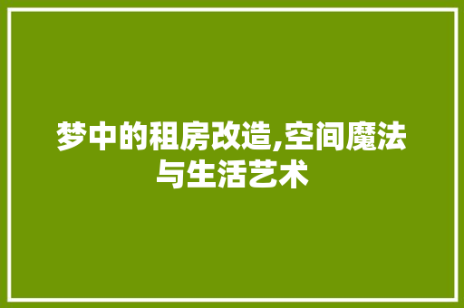 梦中的租房改造,空间魔法与生活艺术 墙面装饰