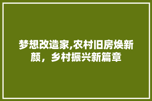 梦想改造家,农村旧房焕新颜，乡村振兴新篇章