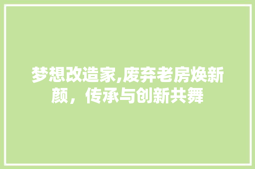 梦想改造家,废弃老房焕新颜，传承与创新共舞