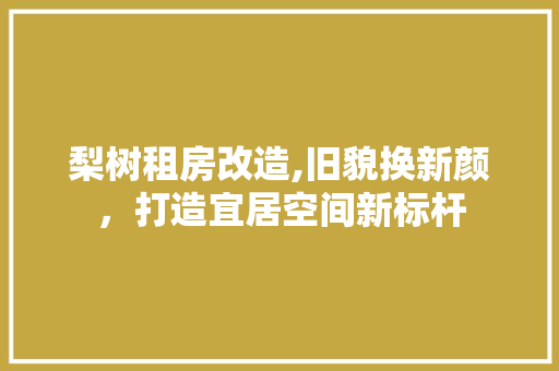 梨树租房改造,旧貌换新颜，打造宜居空间新标杆