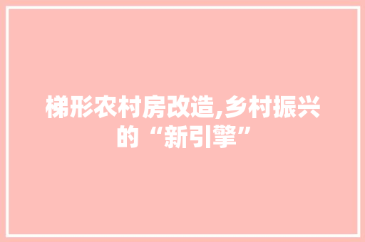 梯形农村房改造,乡村振兴的“新引擎”