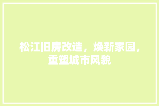 松江旧房改造，焕新家园，重塑城市风貌