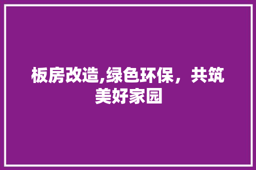 板房改造,绿色环保,共筑美好家园