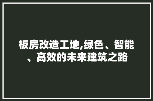 板房改造工地,绿色、智能、高效的未来建筑之路