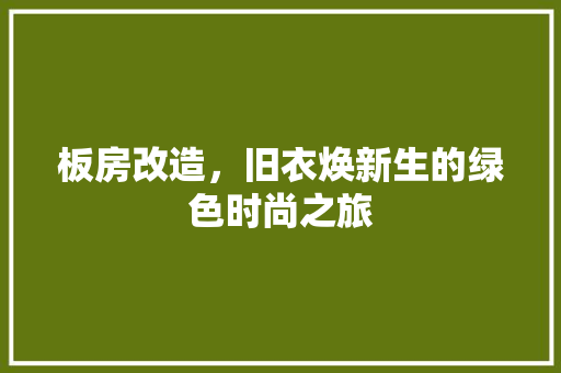 板房改造，旧衣焕新生的绿色时尚之旅