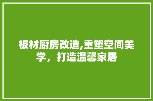 板材厨房改造,重塑空间美学，打造温馨家居 门窗装修